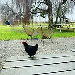 Hoeve Aan De Rand Maastricht Met Natuurzwembad