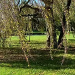 Hoeve Aan De Rand Maastricht Met Natuurzwembad *