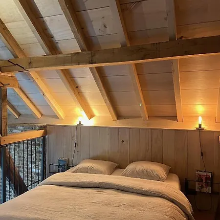 Hoeve Aan De Rand Maastricht Met Natuurzwembad