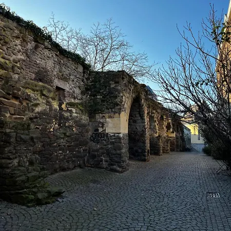 Διαμέρισμα Hoeve Aan De Rand Maastricht Met Natuurzwembad *
