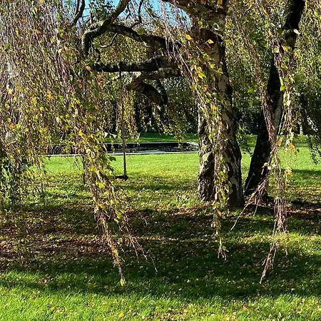 Hoeve Aan De Rand Maastricht Met Natuurzwembad *