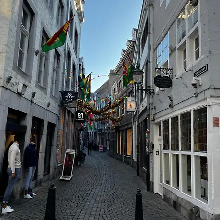 Hoeve Aan De Rand Maastricht Met Natuurzwembad アパート *