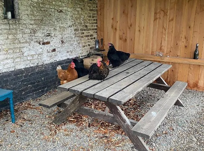 Hoeve Aan De Rand Maastricht Met Natuurzwembad
