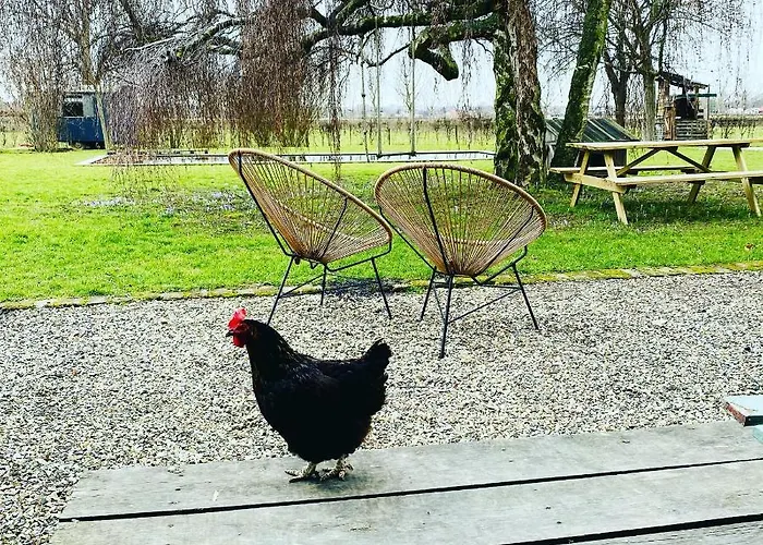 Hoeve Aan De Rand Maastricht Met Natuurzwembad