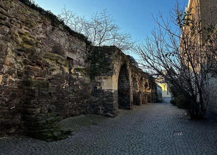Apartment Hoeve Aan De Rand Maastricht Met Natuurzwembad *