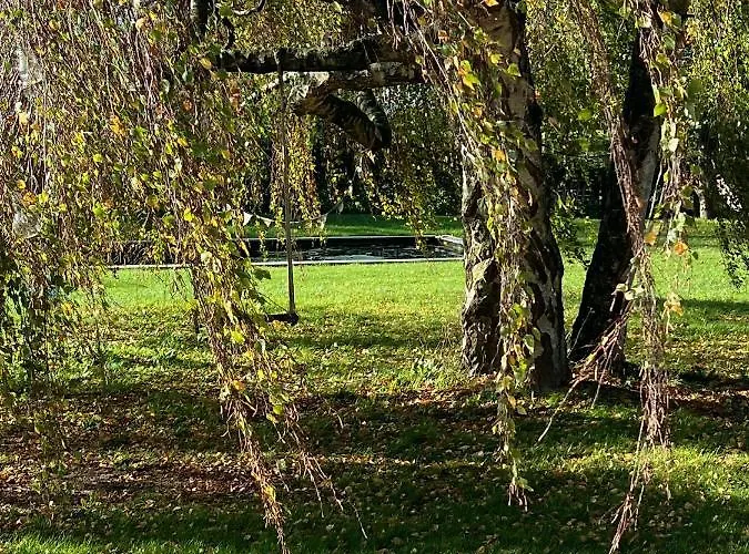 Hoeve Aan De Rand Maastricht Met Natuurzwembad *