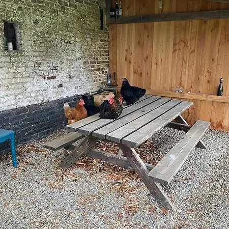 Hoeve Aan De Rand Maastricht Met Natuurzwembad