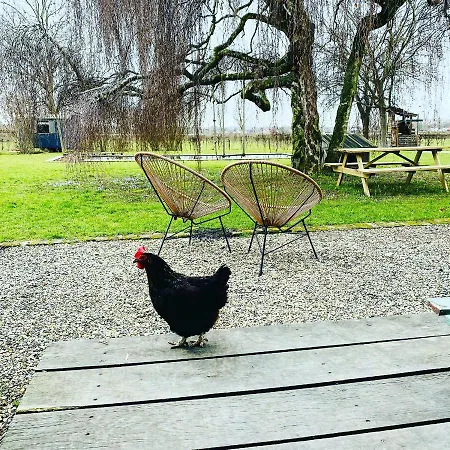 Hoeve Aan De Rand Maastricht Met Natuurzwembad